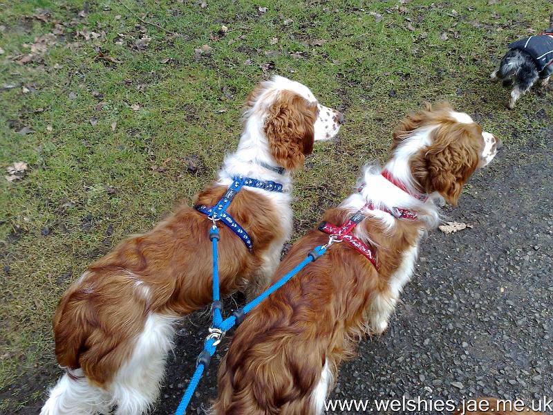 2010-02-20 07.jpg - Terrible twins!